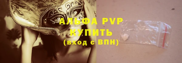 гашик Балахна