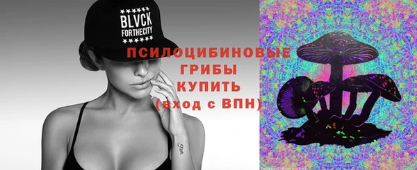 прущие грибы Арсеньев
