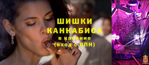 прущие грибы Арсеньев