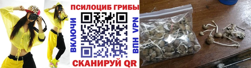Псилоцибиновые грибы Psilocybe  Сегежа 